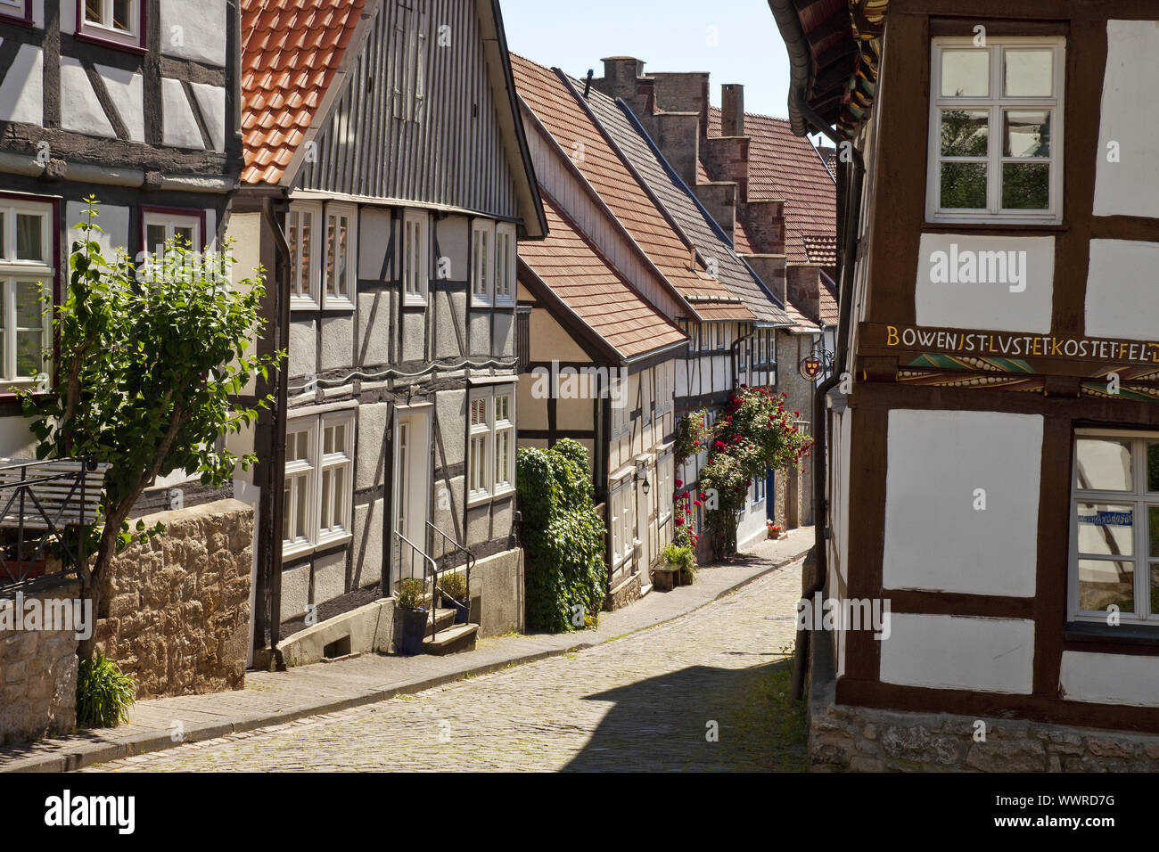 half timbered-houses in the old city, Warburg, East Westphalia, North Rhine-Westphalia, Germany Stock Photo