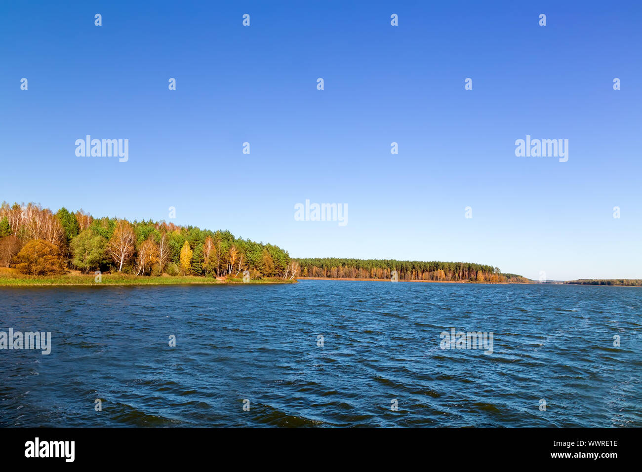 The autumn wood on the bank of the big beautiful lake Stock Photo - Alamy