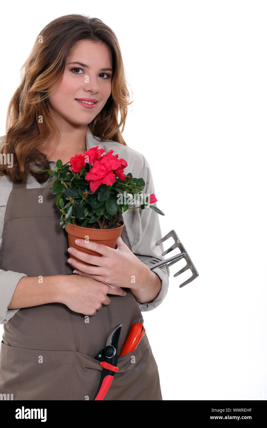 gardener carrying plant, tool Stock Photo