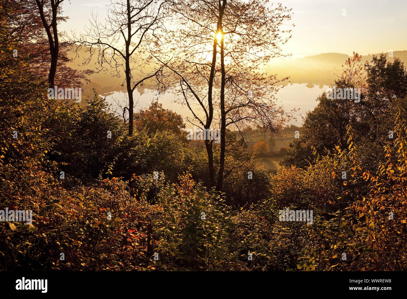Schlakenmehren maar in autumn at sunrise, Daun, Eifel, Rhineland-Palatinate, Germany, Europe Stock Photo
