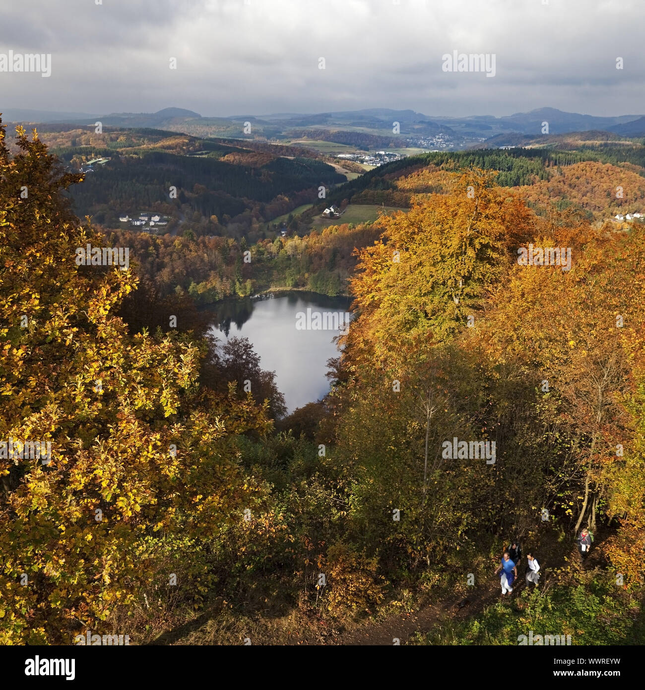 Gemuendener Maar in autumn, Daun, Eifel, Rhineland-Palatinate, Germany, Europe Stock Photo