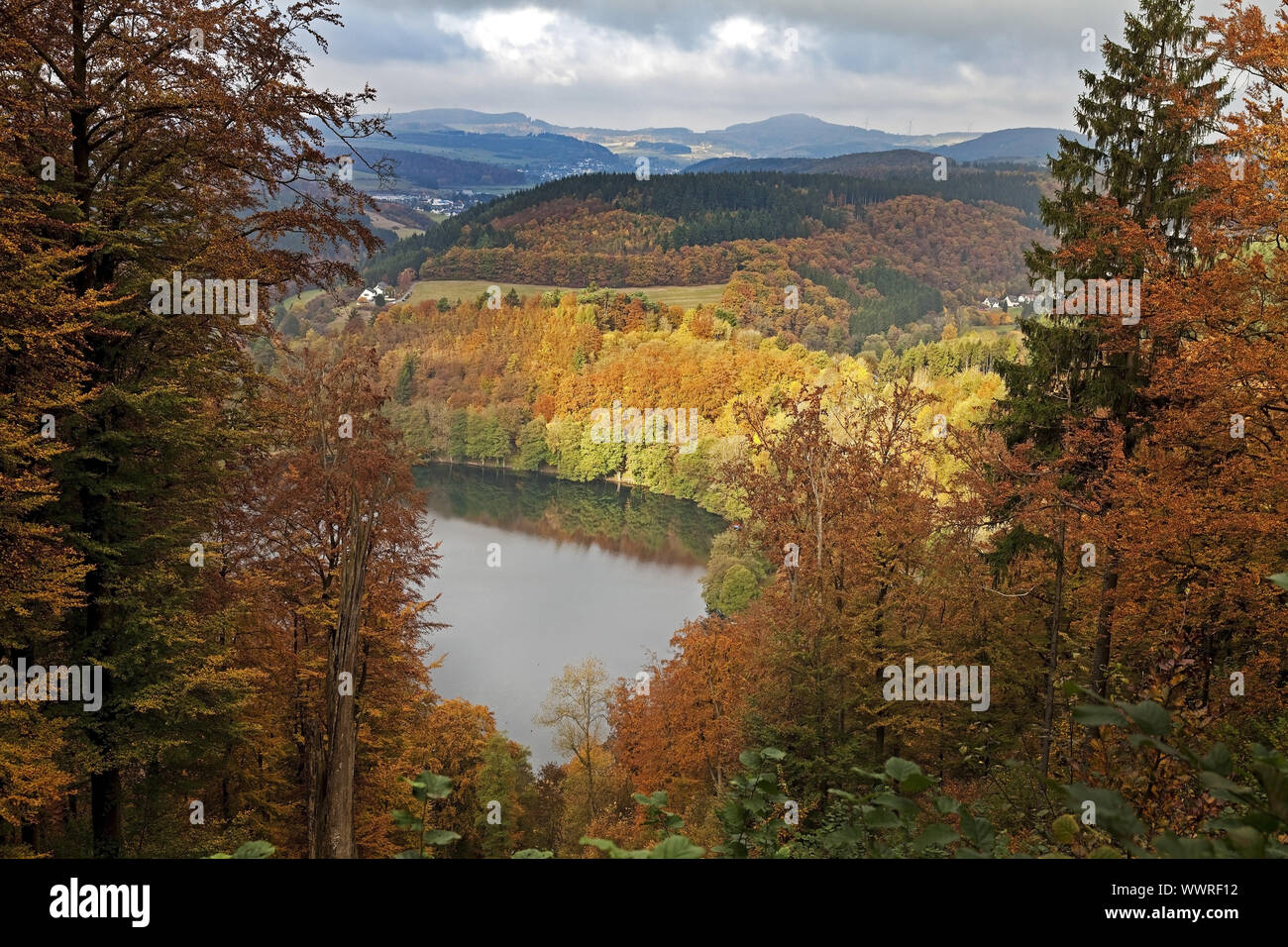 Gemuendener Maar in autumn, Daun, Eifel, Rhineland-Palatinate, Germany, Europe Stock Photo