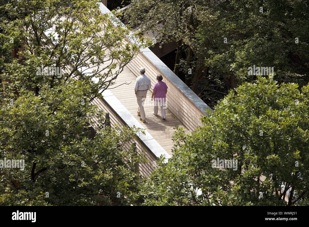 two visitors on the treetop path, Panarbora park, Waldbroel, North Rhine-Westphalia, Germany, Europe Stock Photo