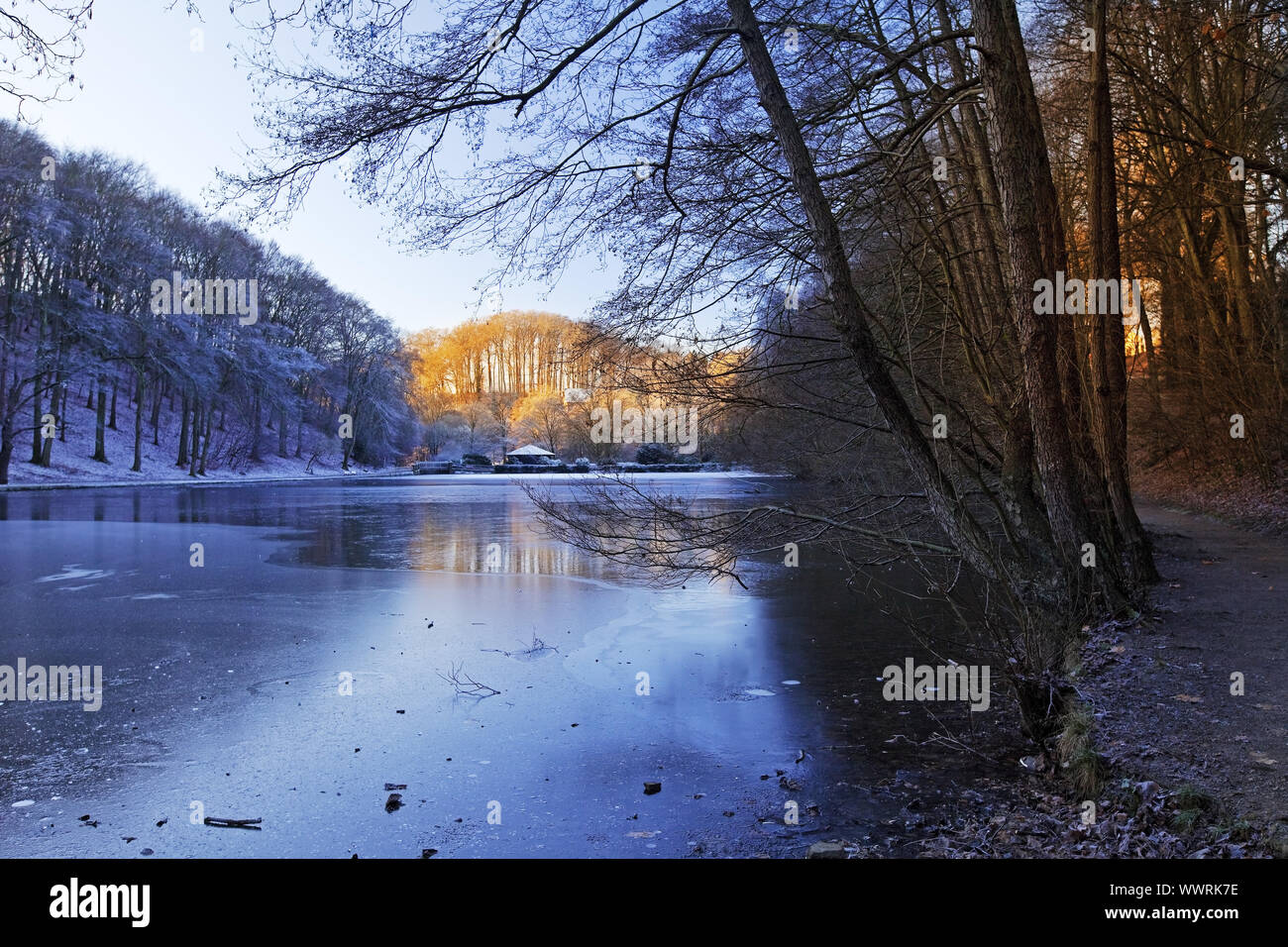 Hammerteich in winter, Witten, Ruhr Area, North Rhine-Westphalia, Germany, Europe Stock Photo