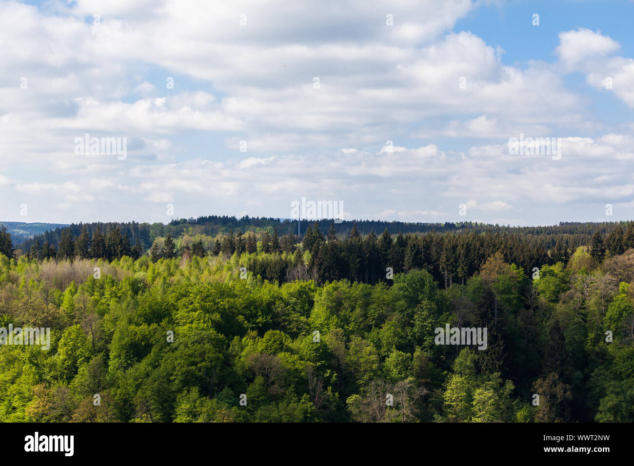 View over the Harz woods Stock Photo