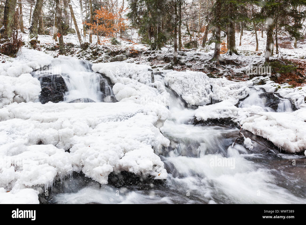 Selke waterfall Selketal in the Harz Mountains Stock Photo - Alamy