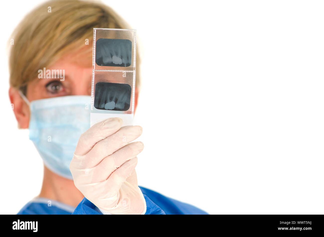 dentist holding dental radiography Stock Photo Alamy