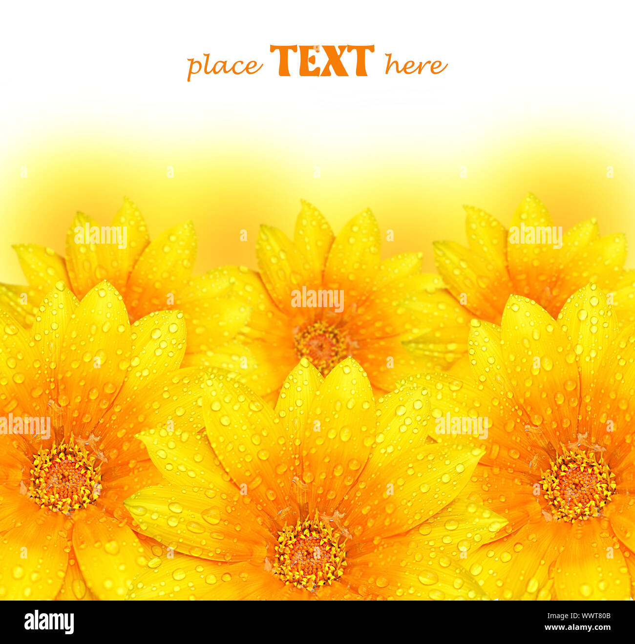 Abstract yellow flower background Stock Photo Alamy