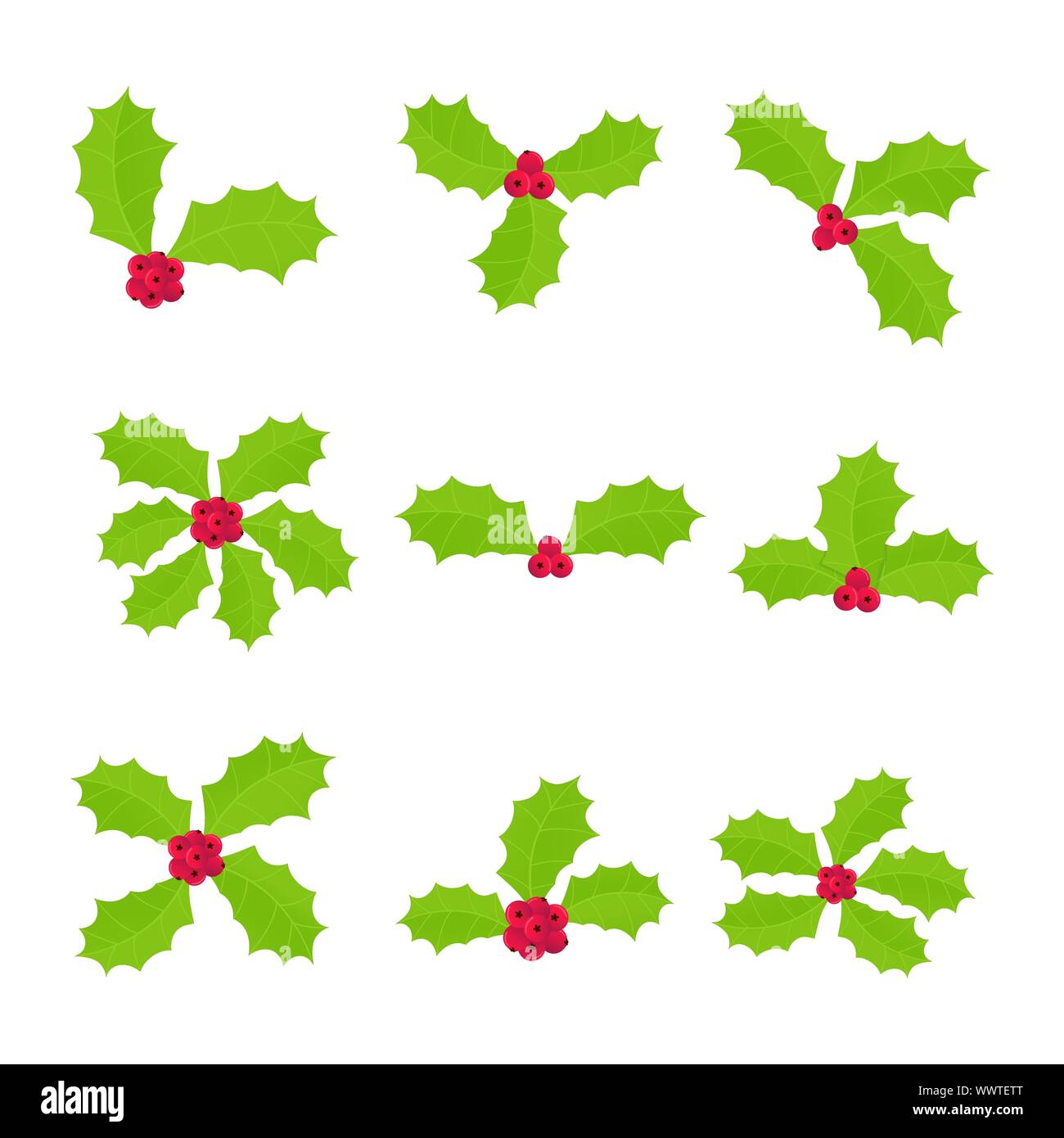 Premium Vector  Christmas holly berry set green leaf red berry branches  twigs vector winter illustration isolated