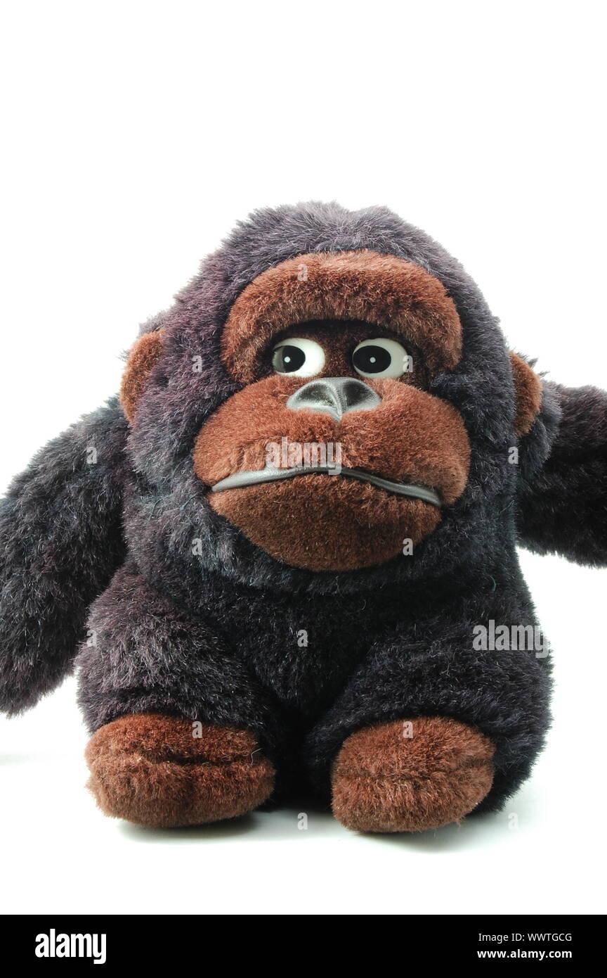 toy teddy bear isolated on white background Stock Photo - Alamy