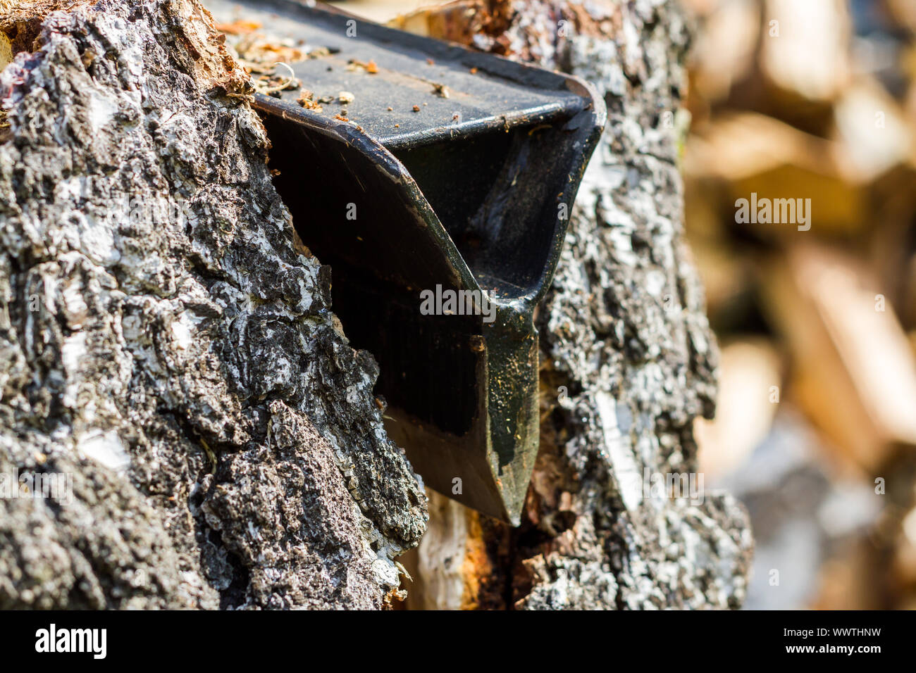 Wood splitter at work Stock Photo