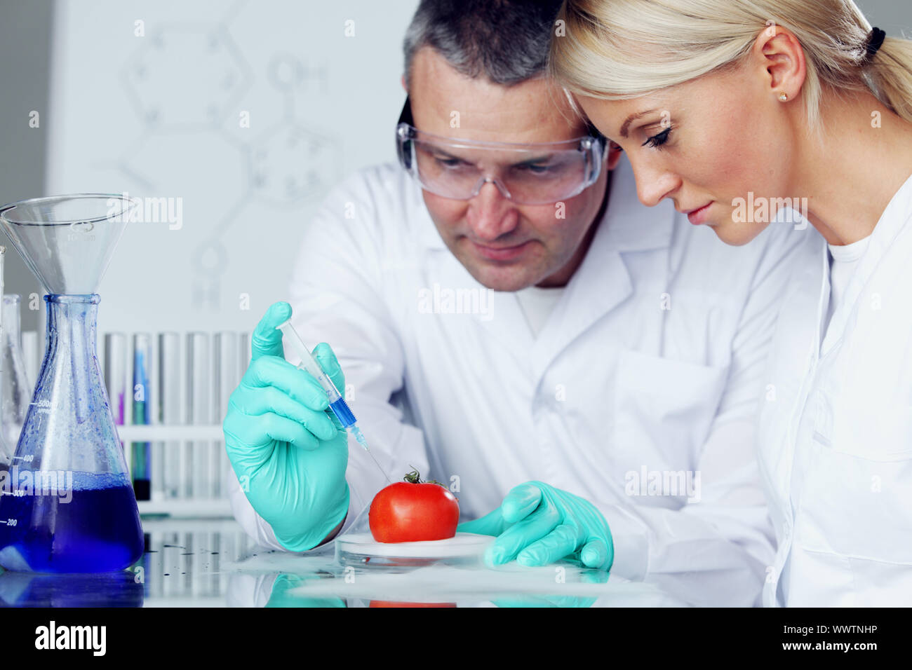 manand woman try to change tomato DNA Stock Photo