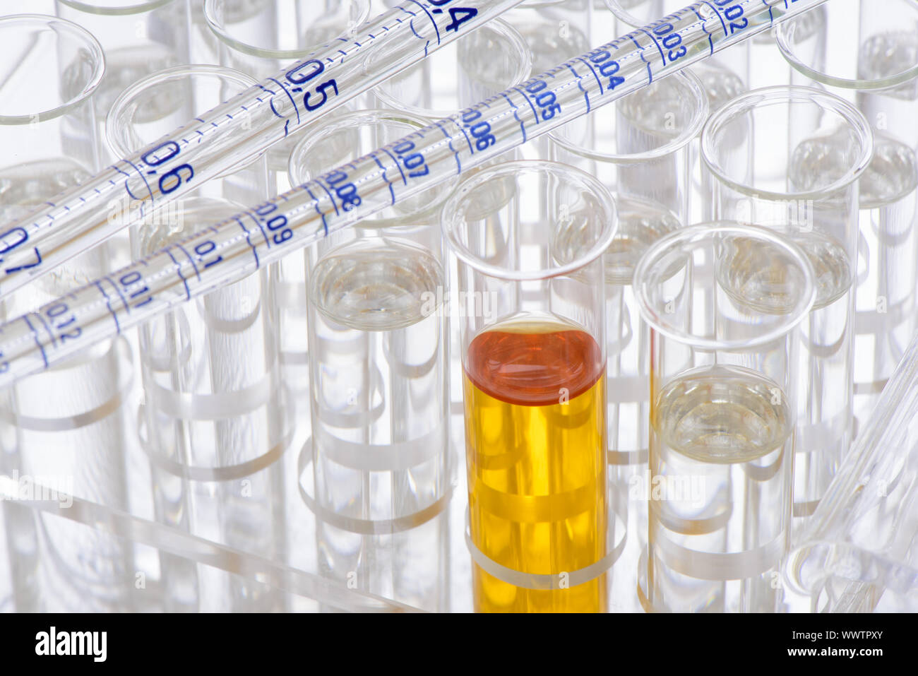 Chemistry and experiment in the laboratory with test tubes Stock Photo ...