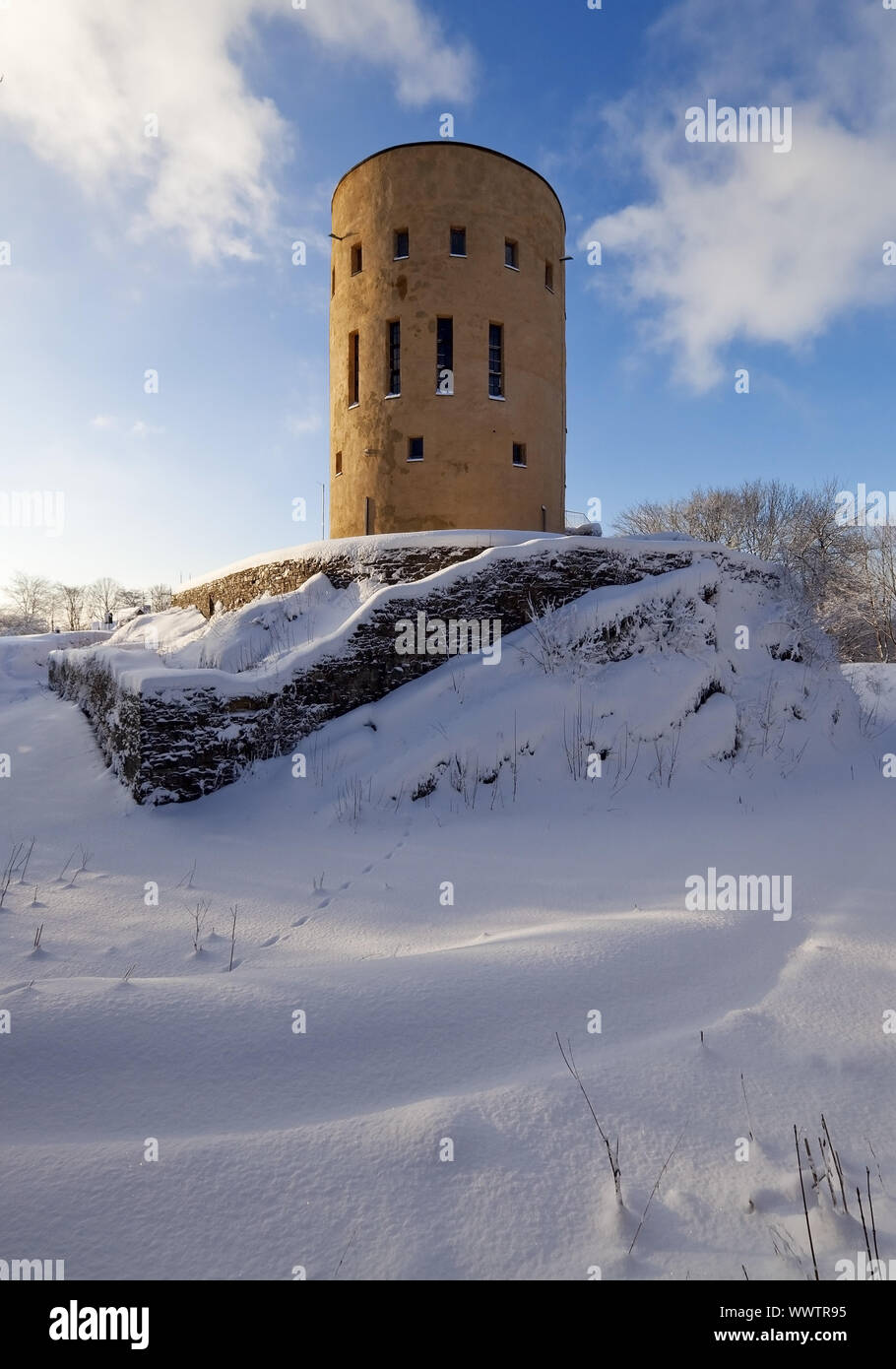 burg ginsburg