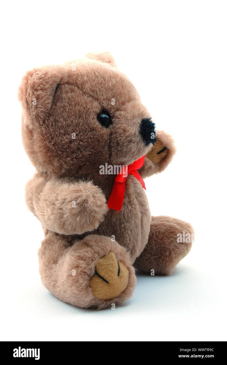 toy teddy bear isolated on white background Stock Photo