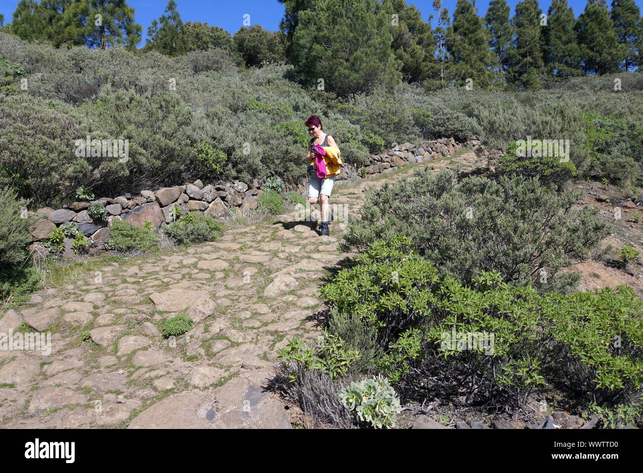 hiker on a walk from Cruz Lanos de la Pez to La Culata and la Goleta Stock Photo