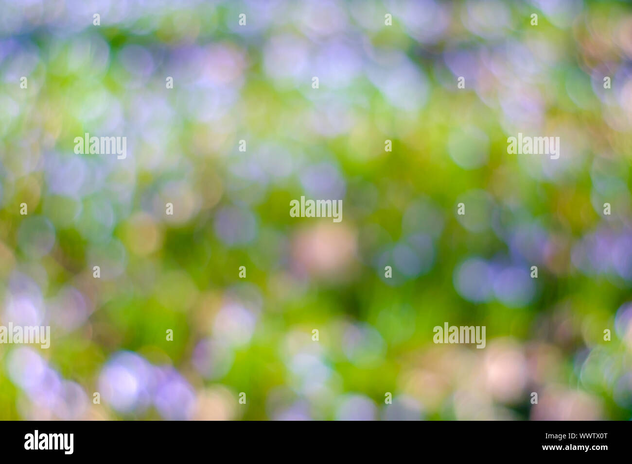 Kreisformiges bokeh hi-res stock photography and images - Alamy