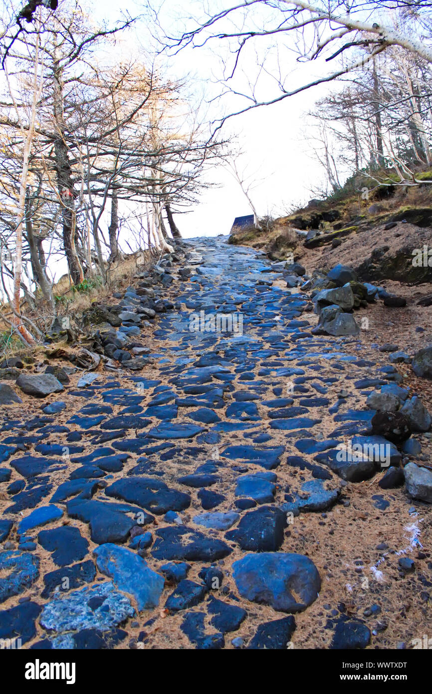 Stone Pathway Overview Brown wild stone pavement hi-res stock photography and images - Alamy