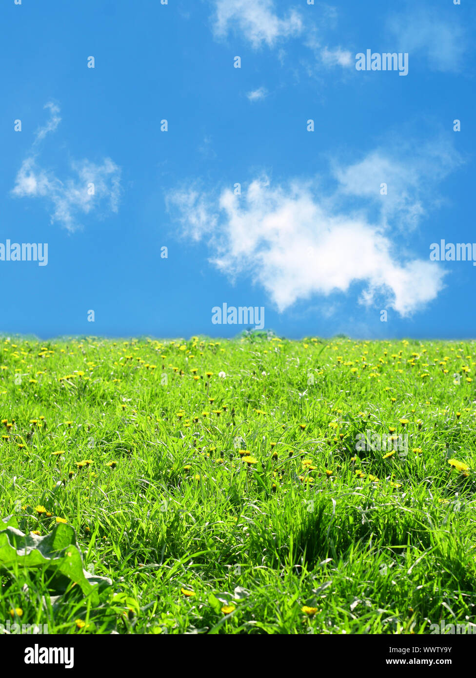 green grass landscape nature background Stock Photo - Alamy