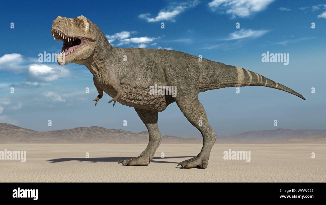 TRex Dinosaur, Tyrannosaurus Rex reptile roaring in desert