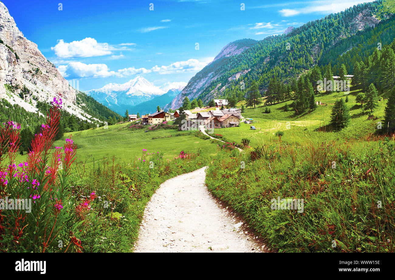 Landscape meadows high grass hi-res stock photography and images - Alamy