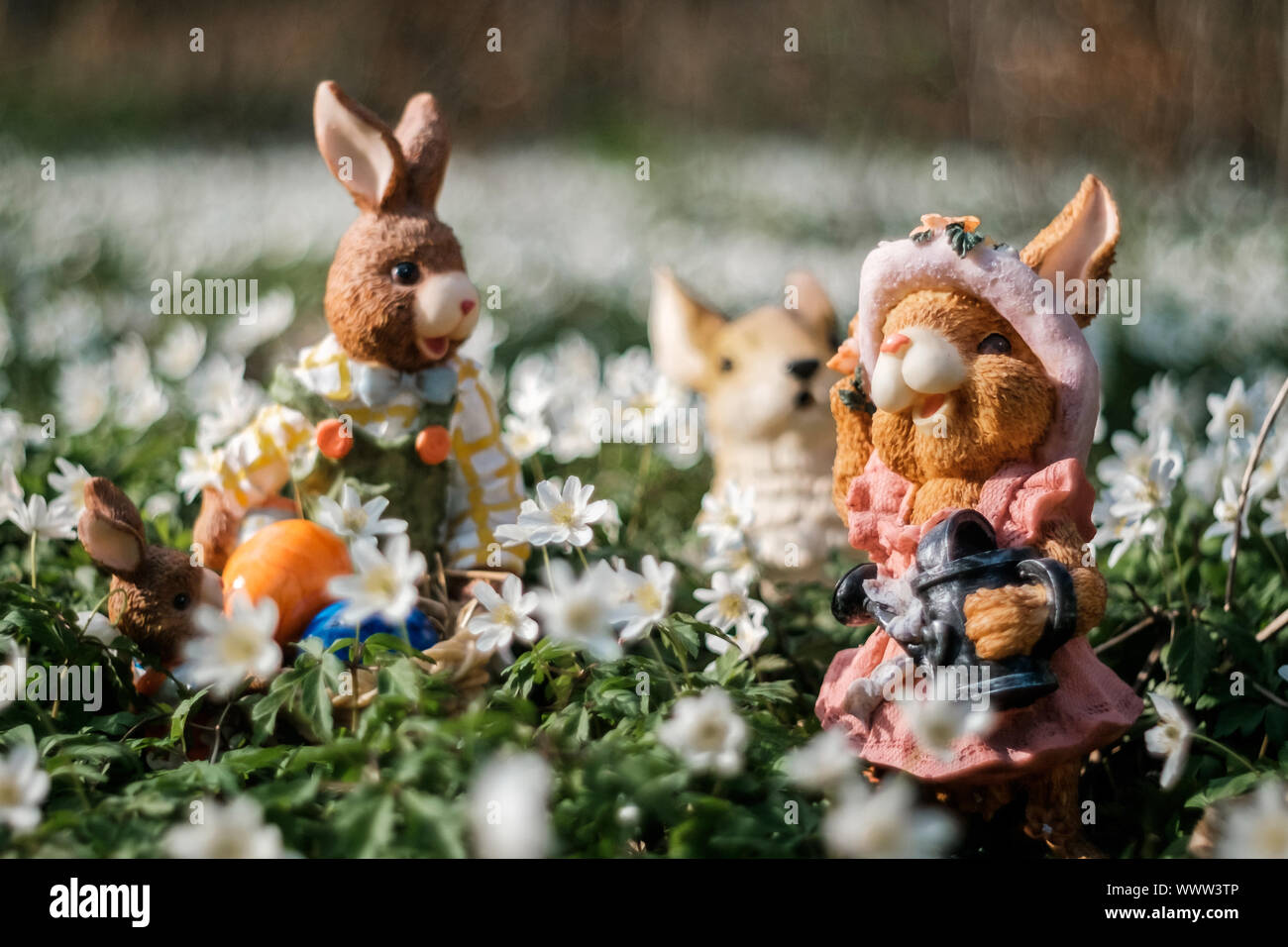 Easter motive with Easter bunny Stock Photo