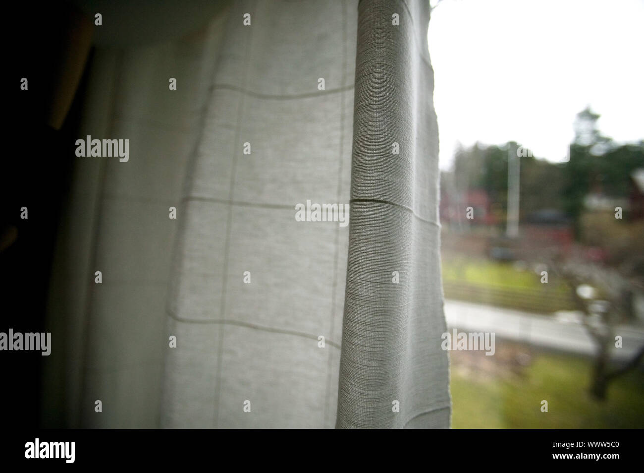 A Person Peering Out Behind Window Curtains A Recluse Hiding In