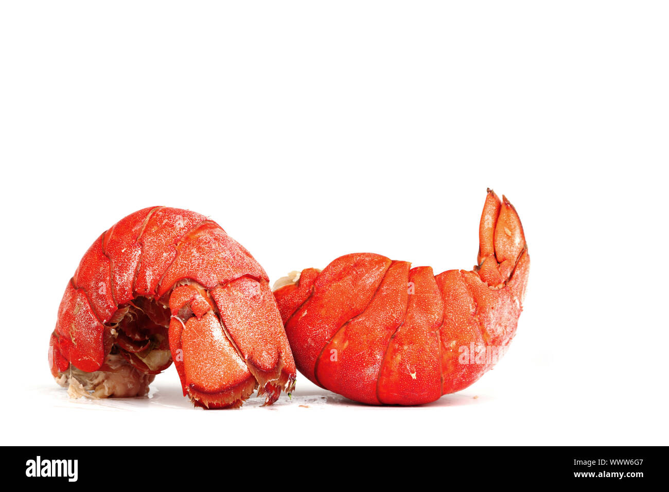 red lobster tail close up Stock Photo Alamy