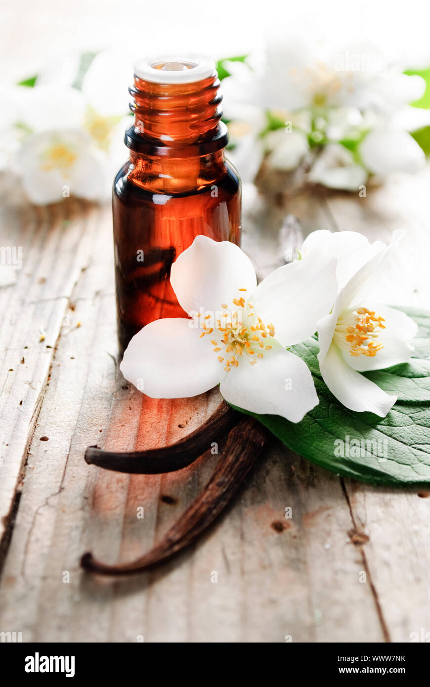 Essential oil with jasmine flower and vanilla Stock Photo Alamy
