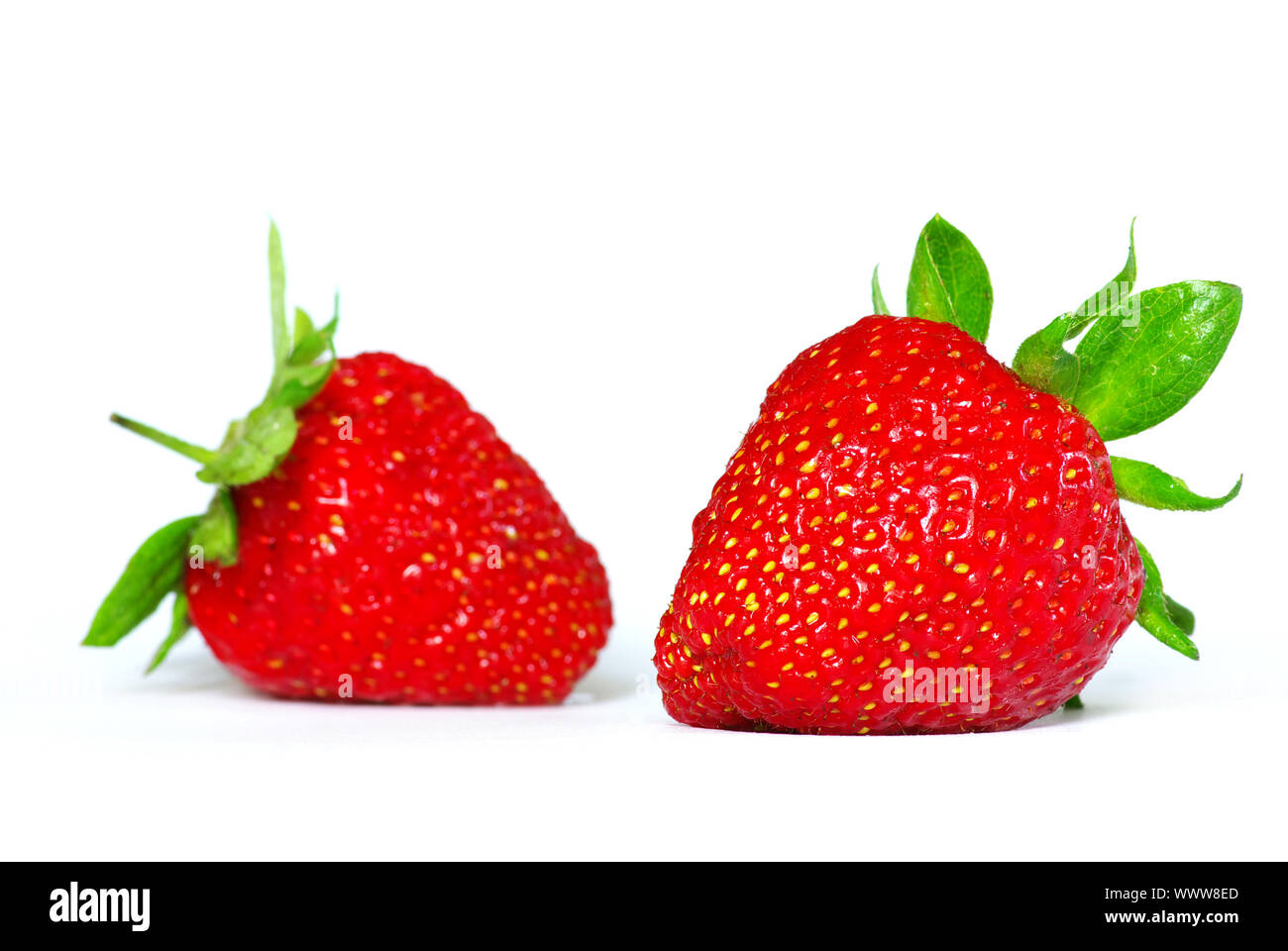Fresh strawberries isolated on white background Stock Photo - Alamy