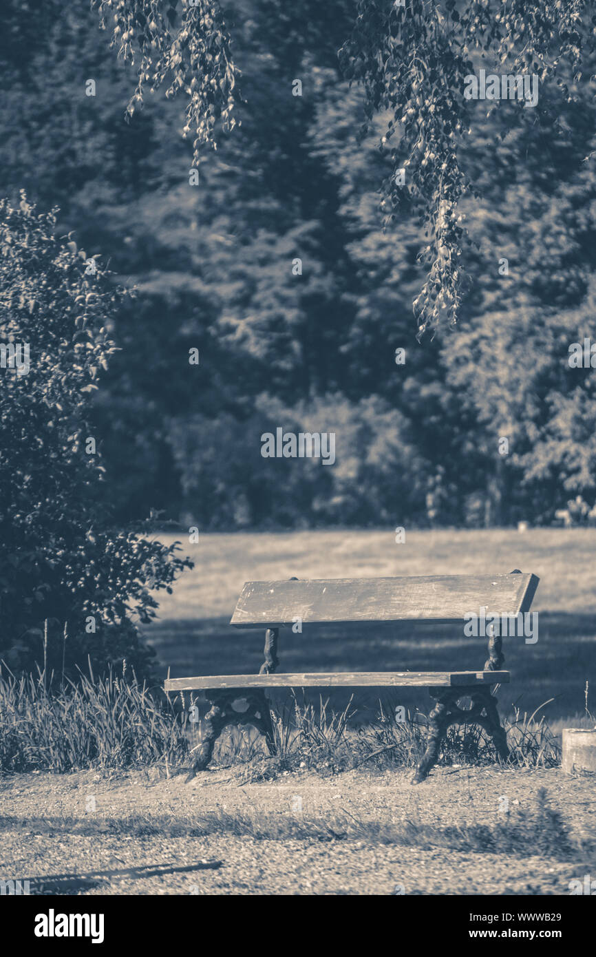 Old vintage photo. Park bench sunny day summer grass copy space Stock Photo