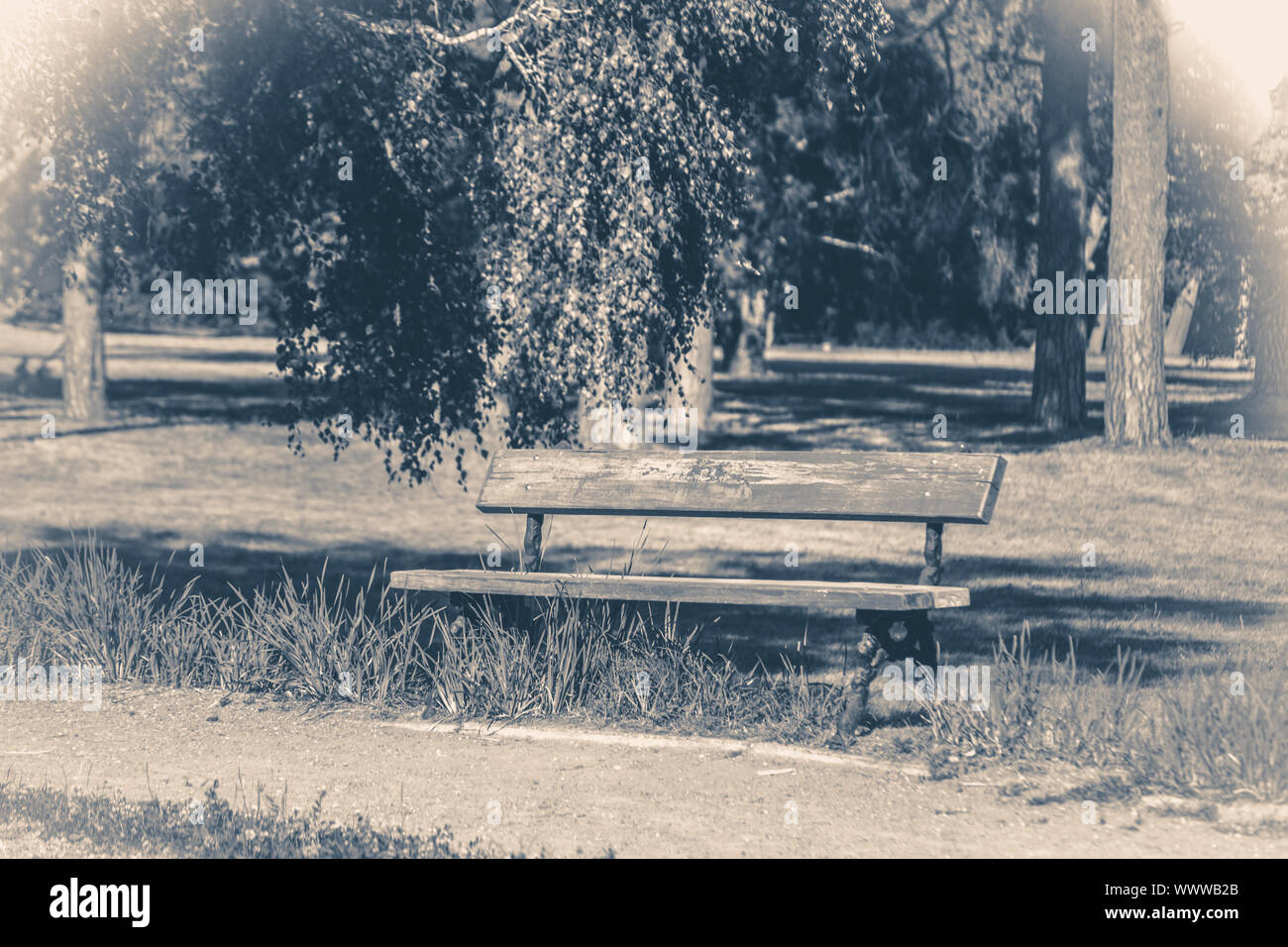 Old vintage photo. Park bench sunny day summer grass copy space Stock Photo