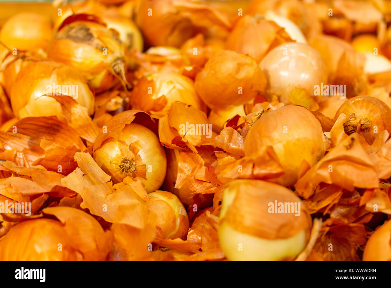 Turnip head hi-res stock photography and images - Alamy