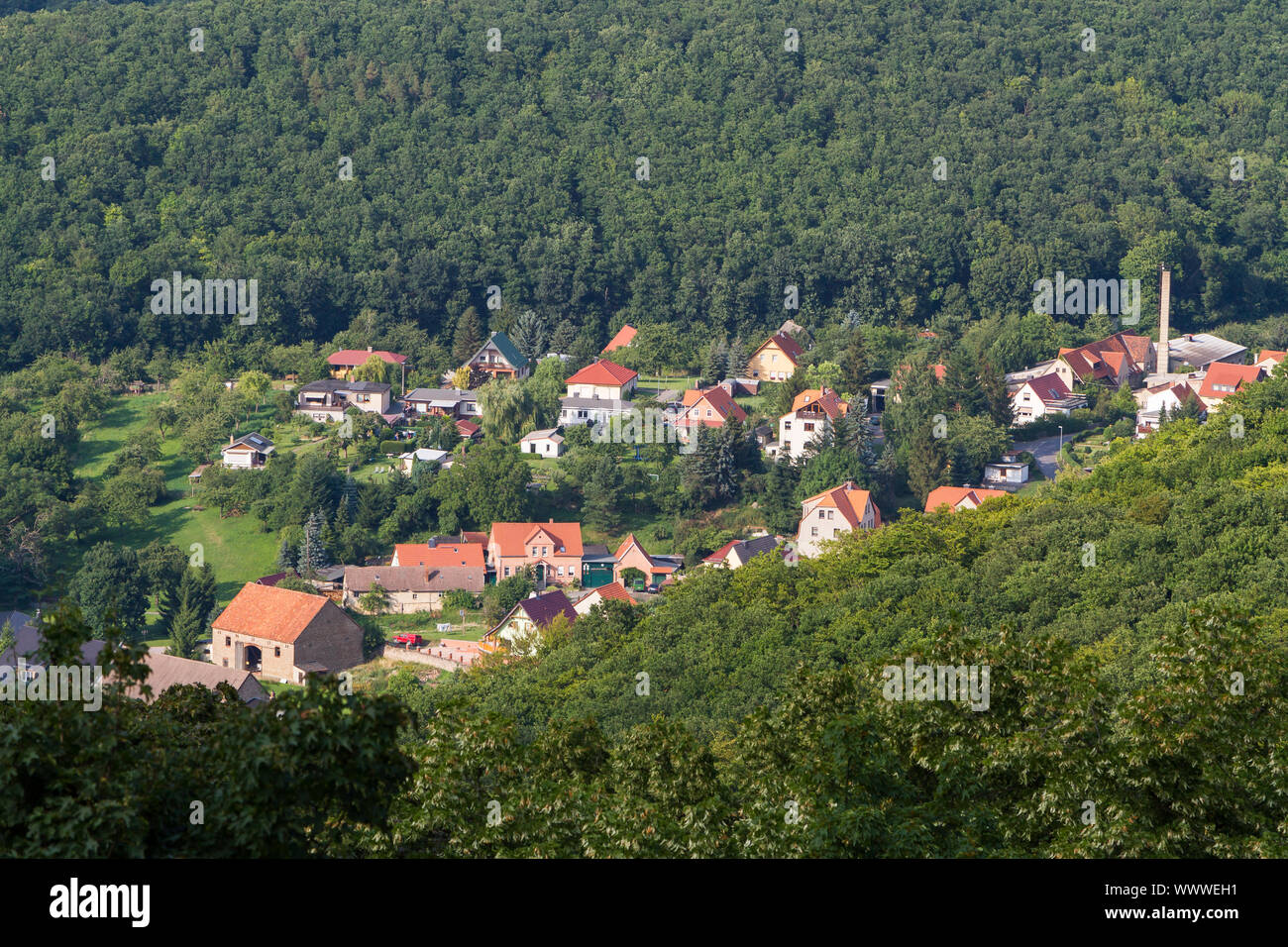 View over Stecklenberg in the Harz Mountains Stock Photo