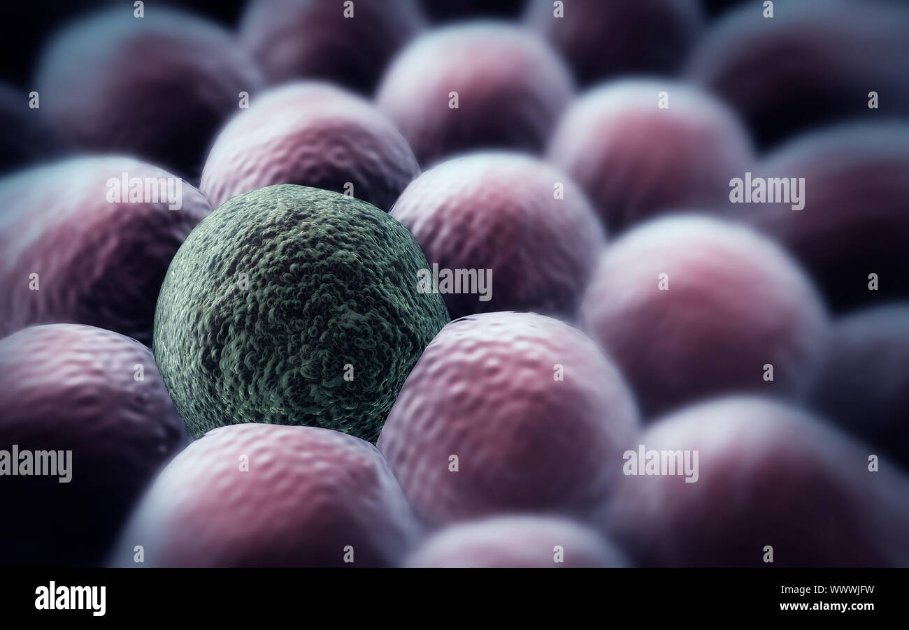 Microscopic image of cells, 3d rendering, division of cancer cell Stock Photo