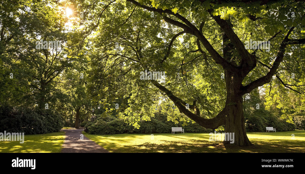 Bad Driburg Park Stock Photos Bad Driburg Park Stock Images Alamy