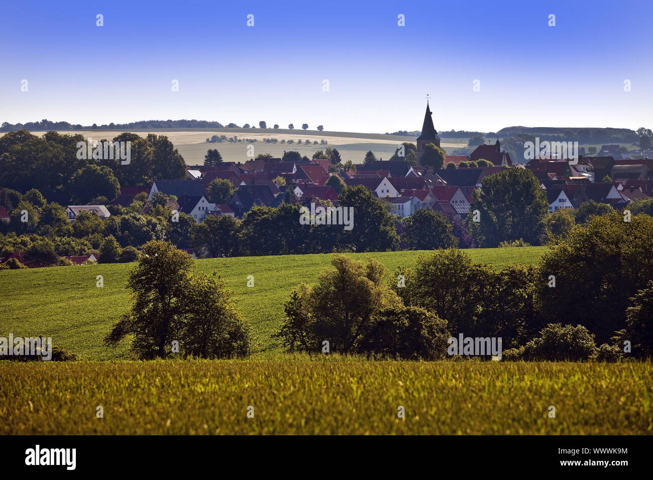 field scenery with cityscape of Barntrup, North Rhine-Westphalia, Germany, Europe Stock Photo