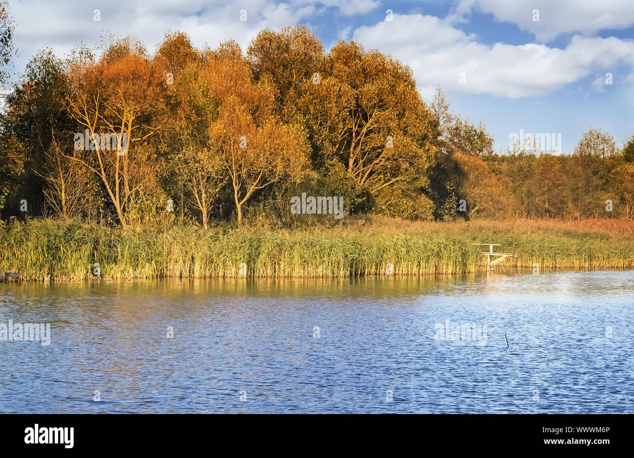 The autumn wood on the bank of the big beautiful lake Stock Photo - Alamy