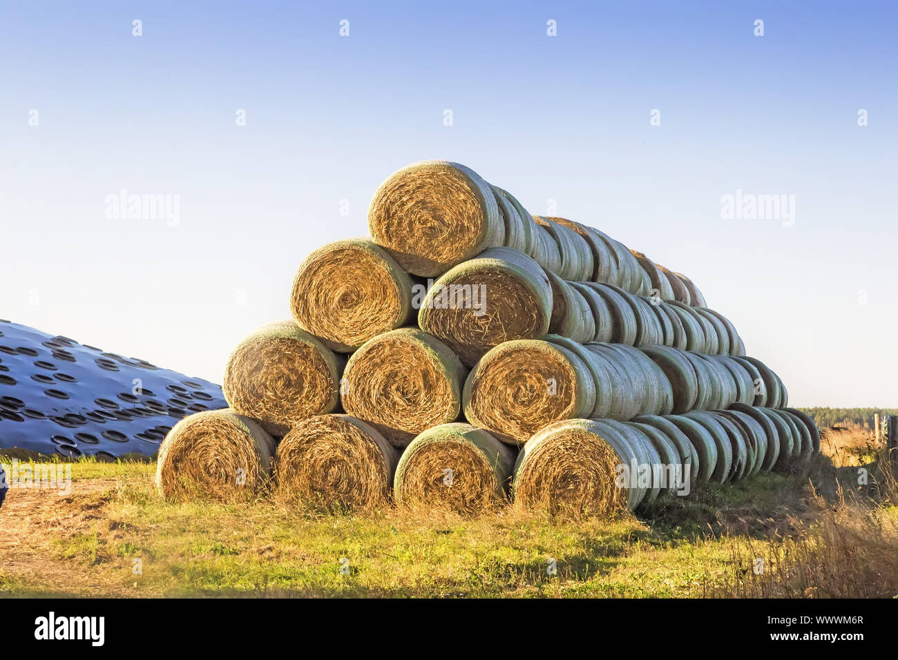 Hay bales for animal feed Stock Photo - Alamy Hay bales for animal feed Stock Photo - Alamy