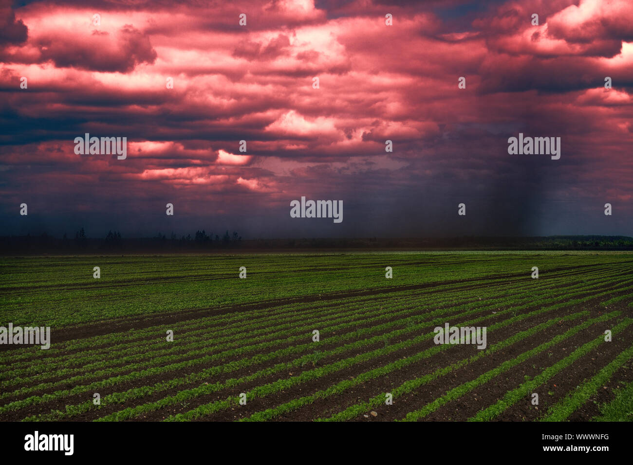 Everything is drowning in dense stream of dust Stock Photo - Alamy