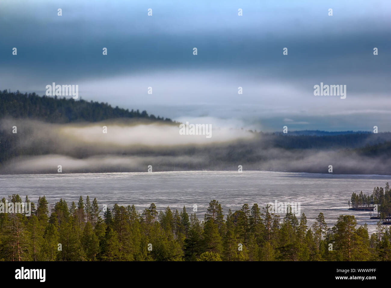 Misty spring morning forest and lake in may Stock Photo
