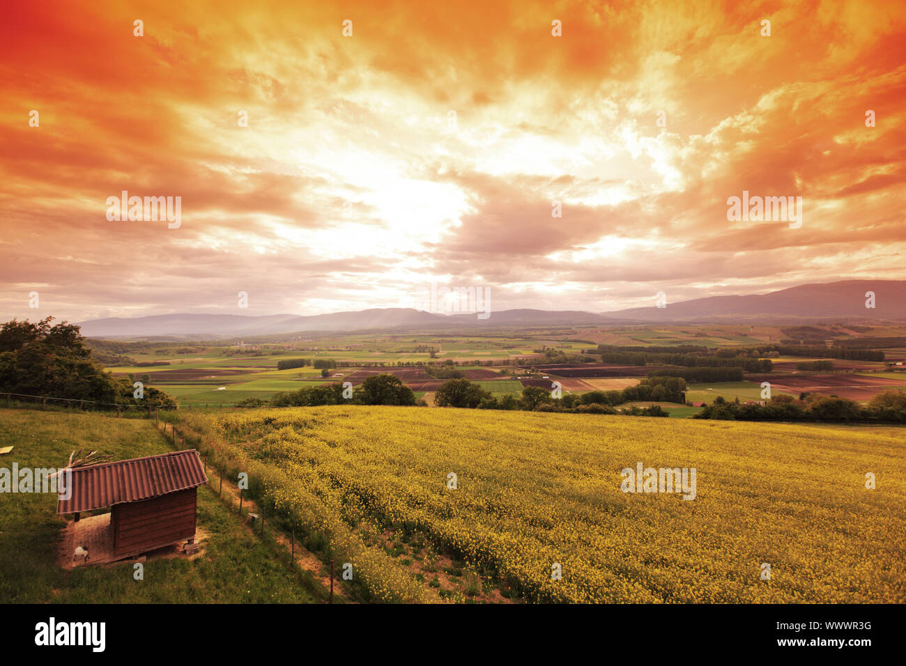 Green meadow under sunset sky with clouds Stock Photo - Alamy