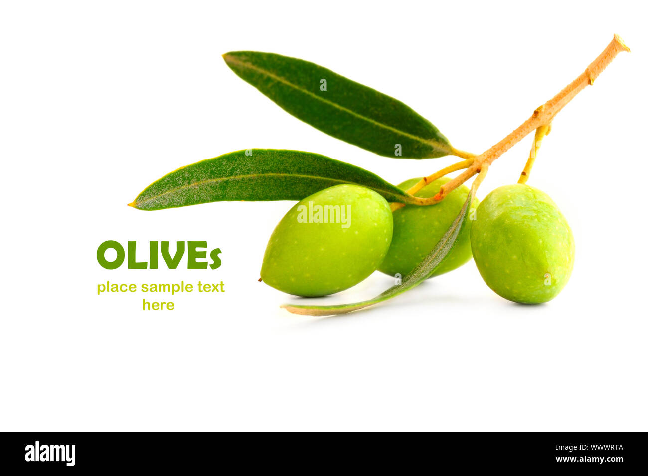 Fresh green olive branch isolated on white background Stock Photo - Alamy