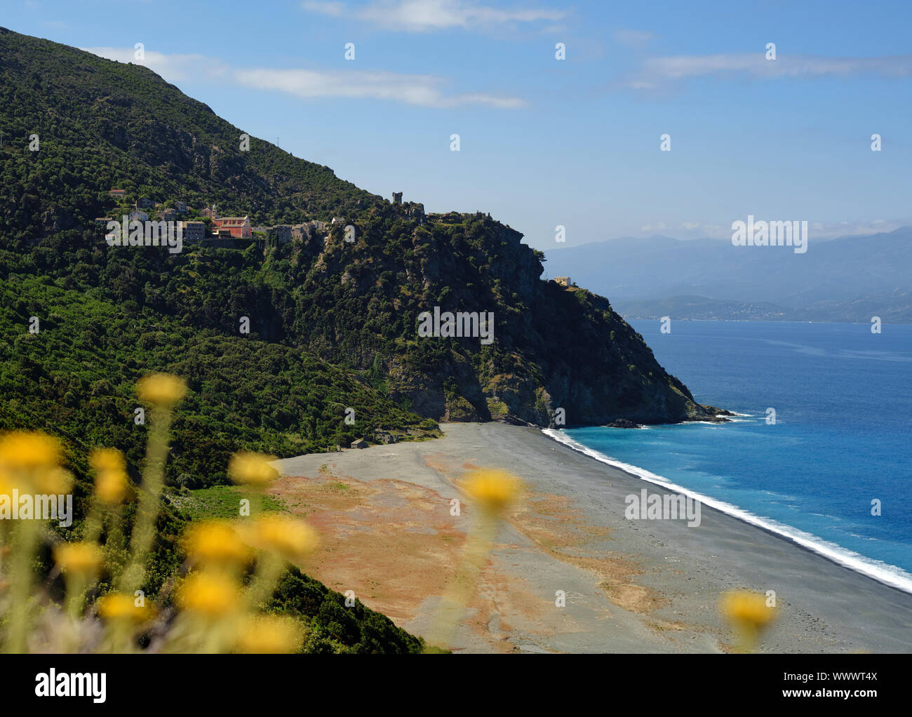 Nonza hilltop village and beach landscape in the Haute-Corse department Cap Corse north Corsica France with yellow flowers in the foreground. Stock Photo