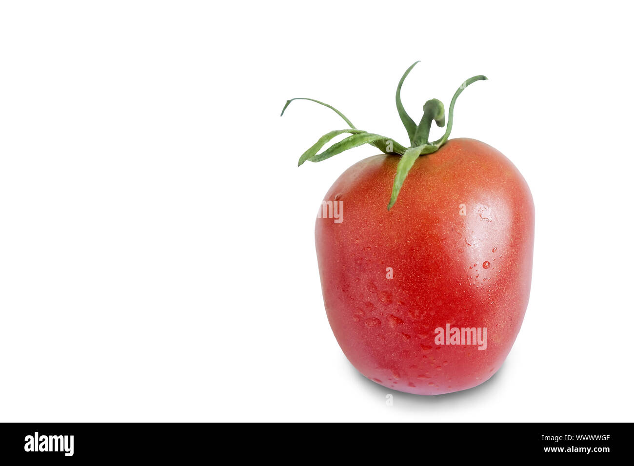 Ripe tomato on a white background. Stock Photo