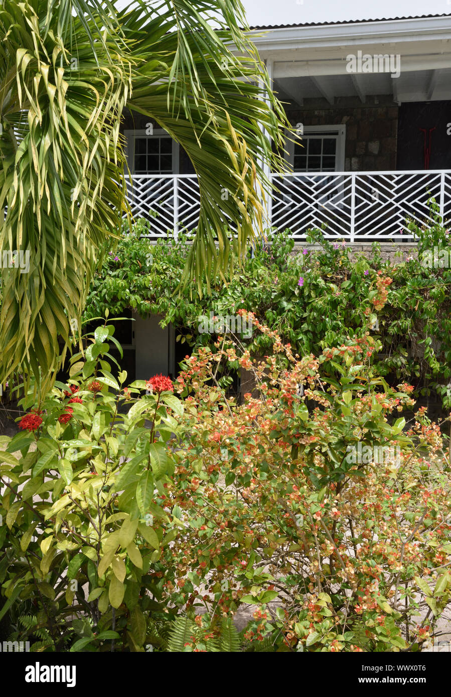 Montpelier Plantation, Nevis, St. Kitts and Nevis, Caribbean island