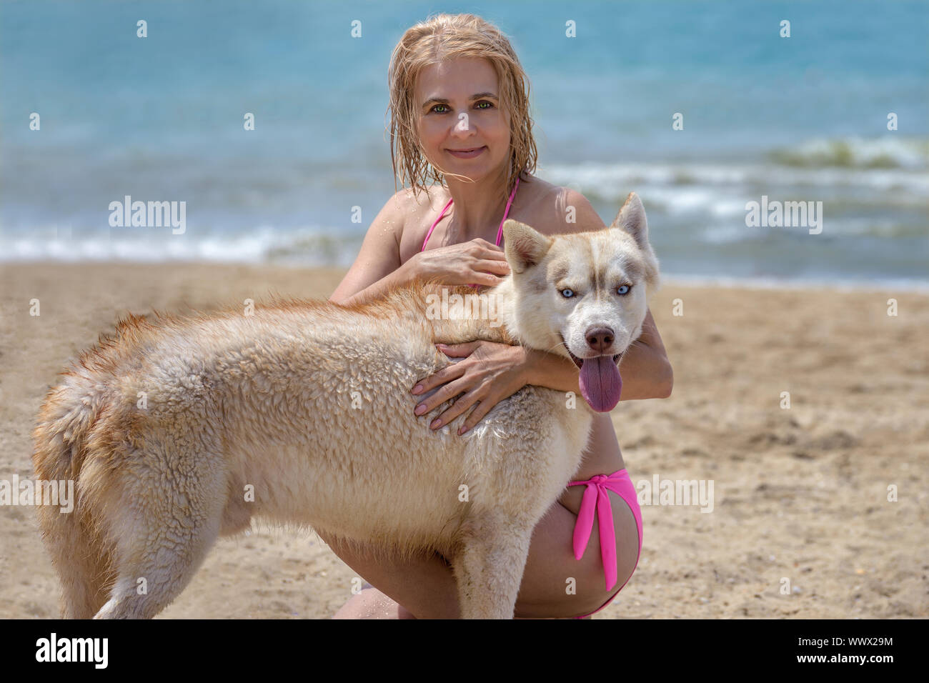 blonde siberian husky puppies