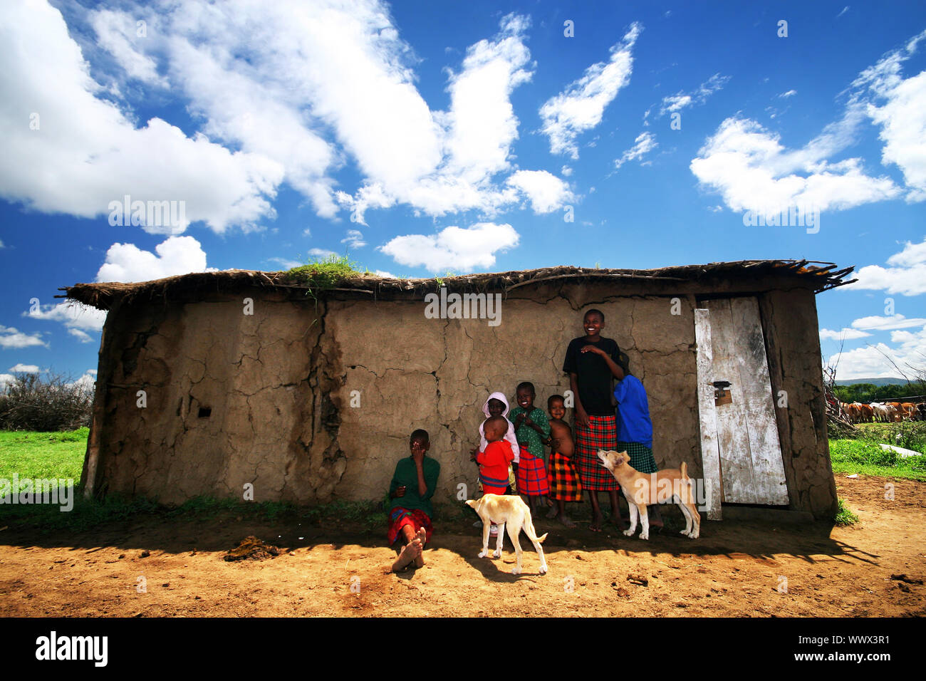 AFRICA, KENYA, MASAI MARA, NOVEMBER 12 portrait on an African Kids of