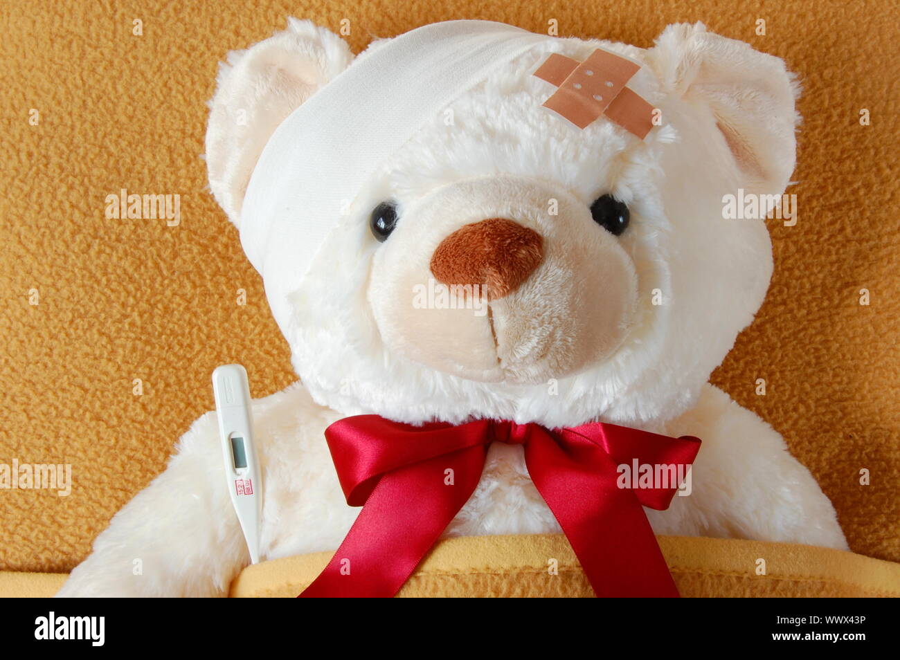 teddy in bed