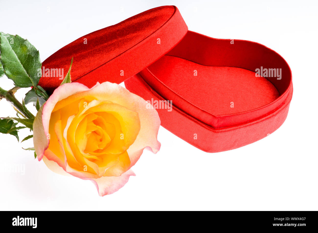 Red yellow rose and a heart shape box Stock Photo